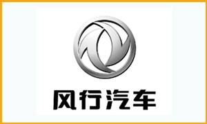 東風(fēng)風(fēng)行汽車 東風(fēng)風(fēng)行汽車